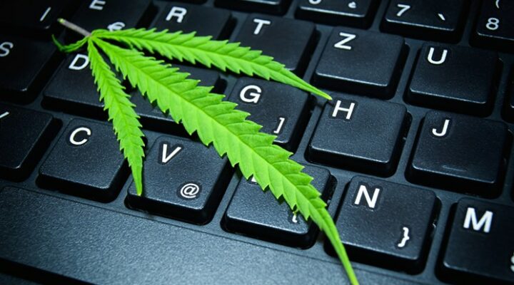 VBS legal cannabis managed IT services